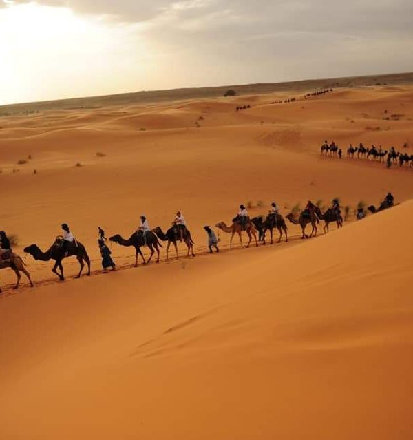 Transfer Merzouga-Fes I Morocco short trips