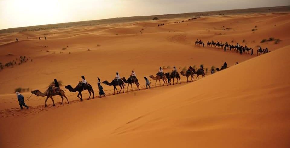 Transfer Merzouga-Fes I Morocco short trips