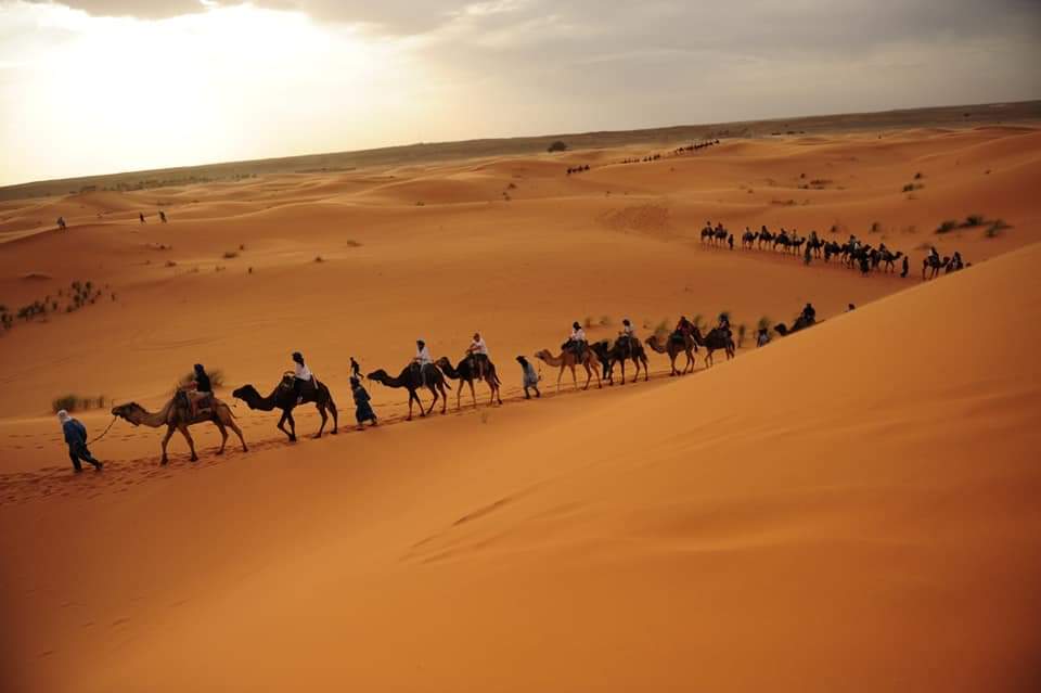 Transfer Merzouga-Fes I Morocco short trips