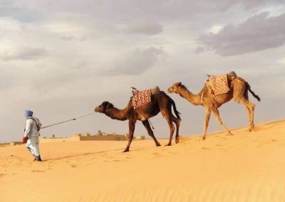 Transfer from Fes to Merzouga