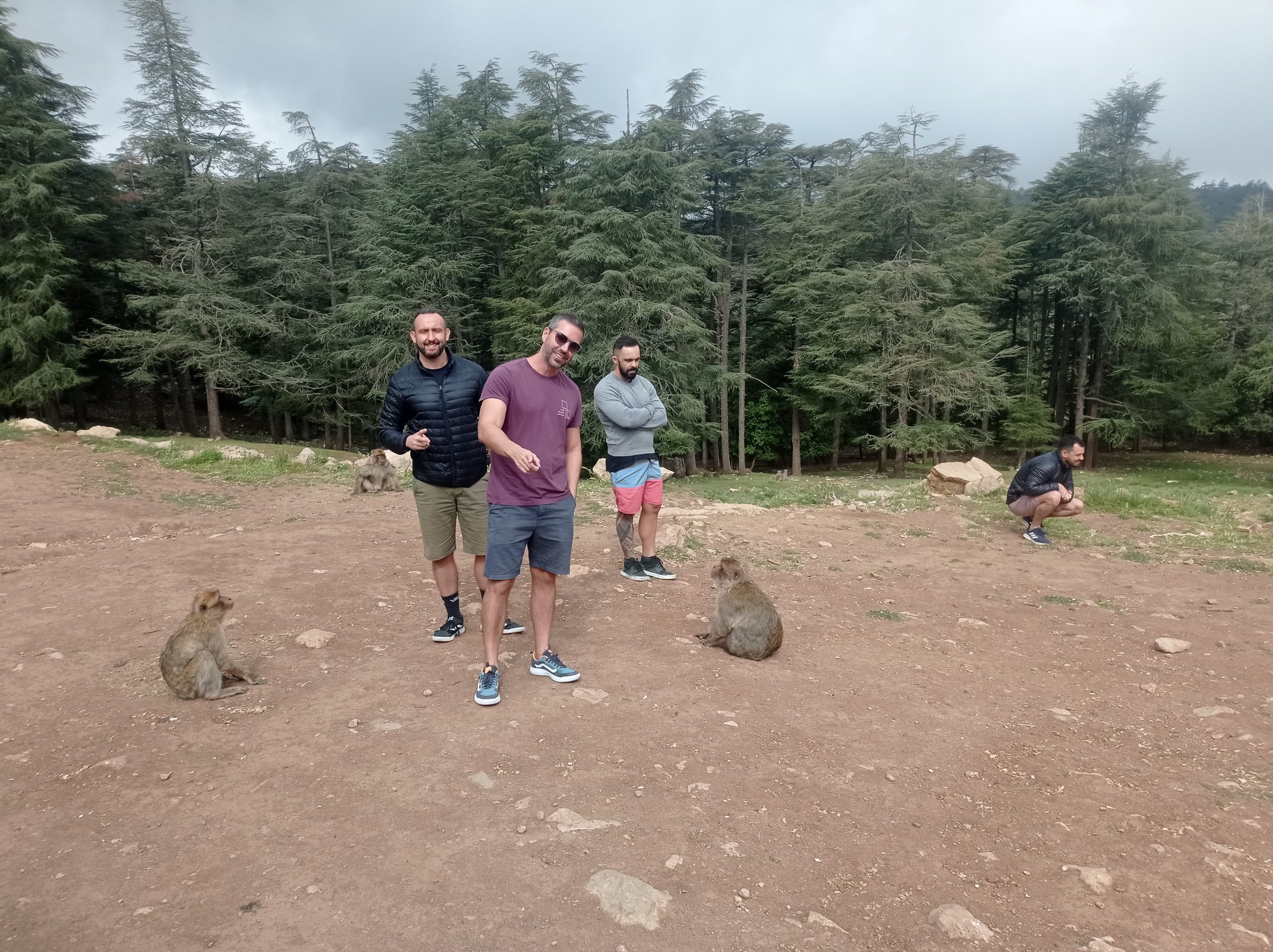 Private tours- Holidays in Morocco